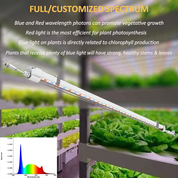 T5 Grow Lights 4-футовая гидро – обзор и цена Grow Light T5
