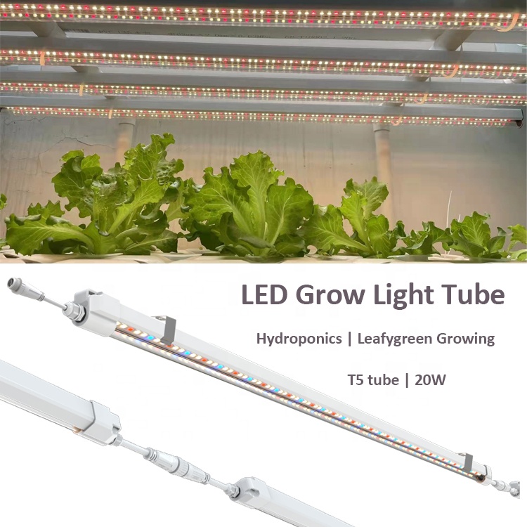 T5 Grow Lights 4-футовая гидро – обзор и цена Grow Light T5
